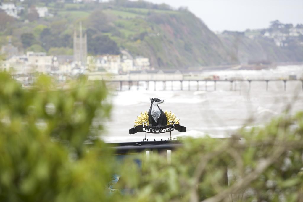 Bed and Breakfast The Ness Teignmouth Exteriér fotografie