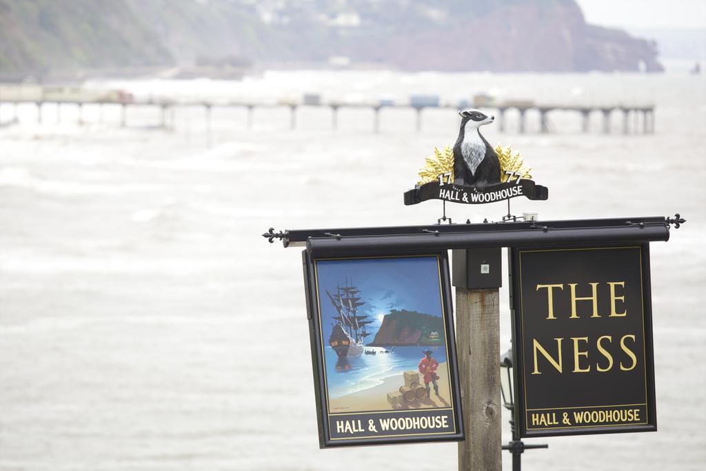 Bed and Breakfast The Ness Teignmouth Exteriér fotografie
